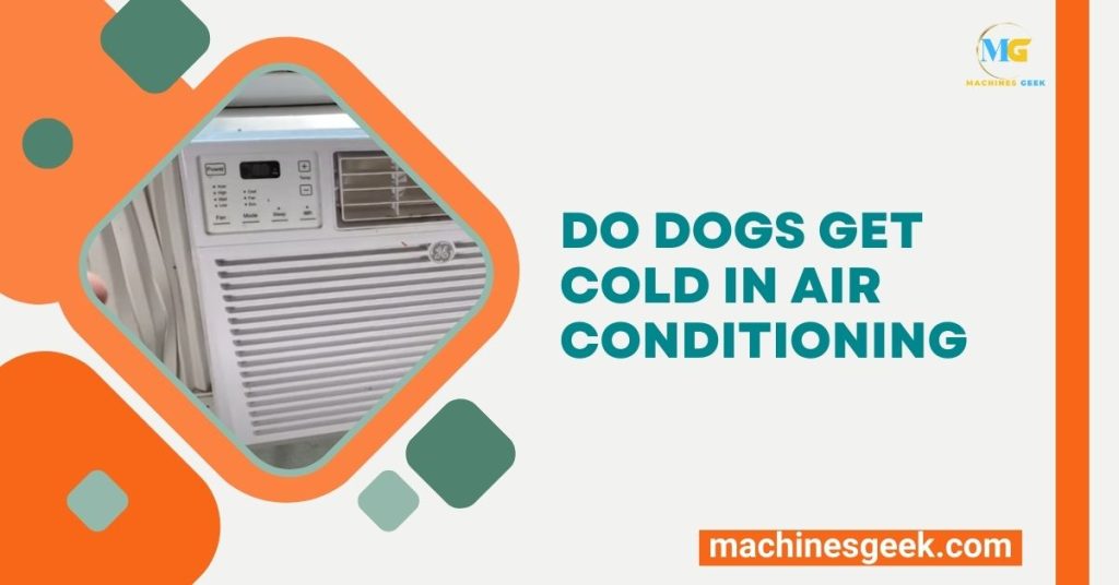 Do Dogs Get Cold in Air Conditioning