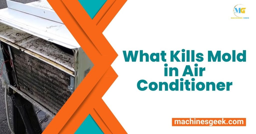 What Kills Mold in Air Conditioner