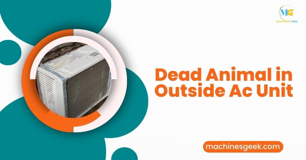 Dead Animal in Outside Ac Unit