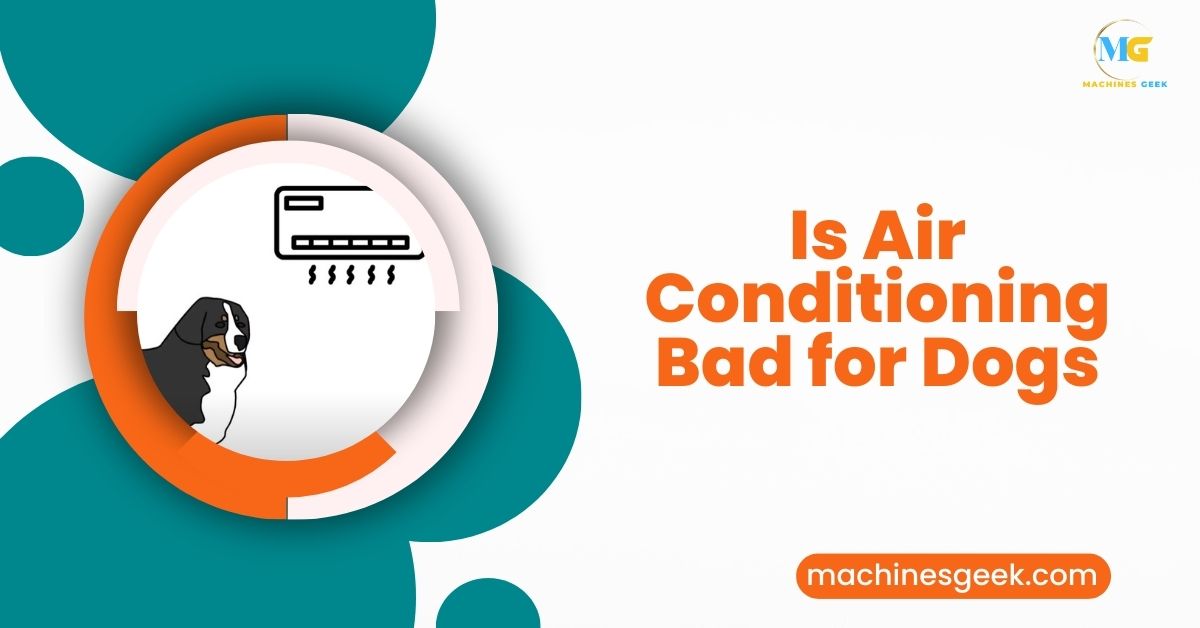 Is Air Conditioning Bad for Dogs