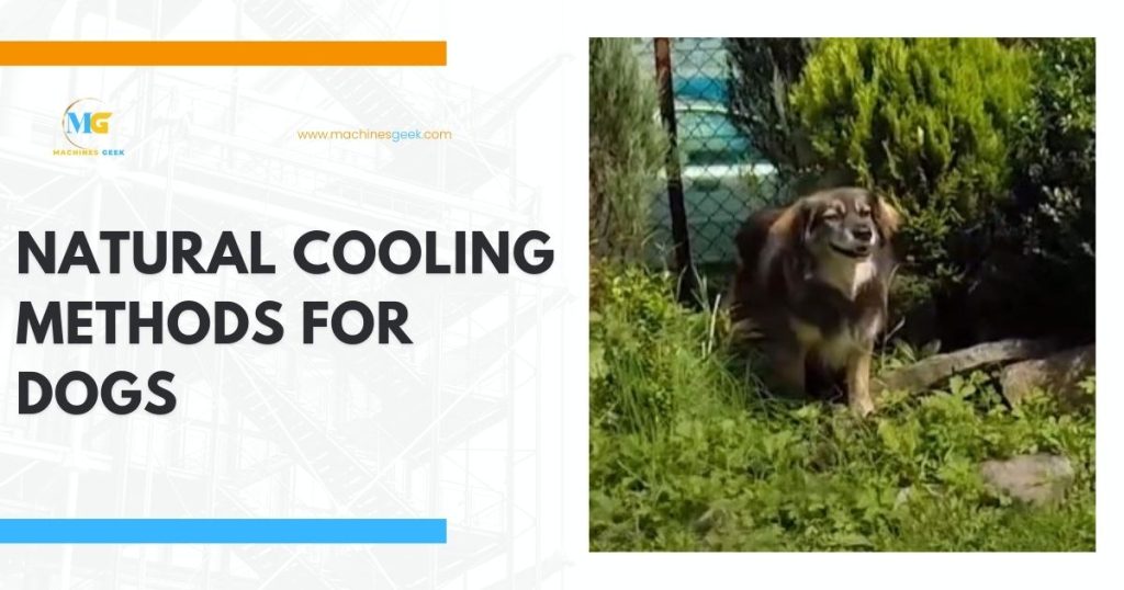 Natural cooling methods for dogs