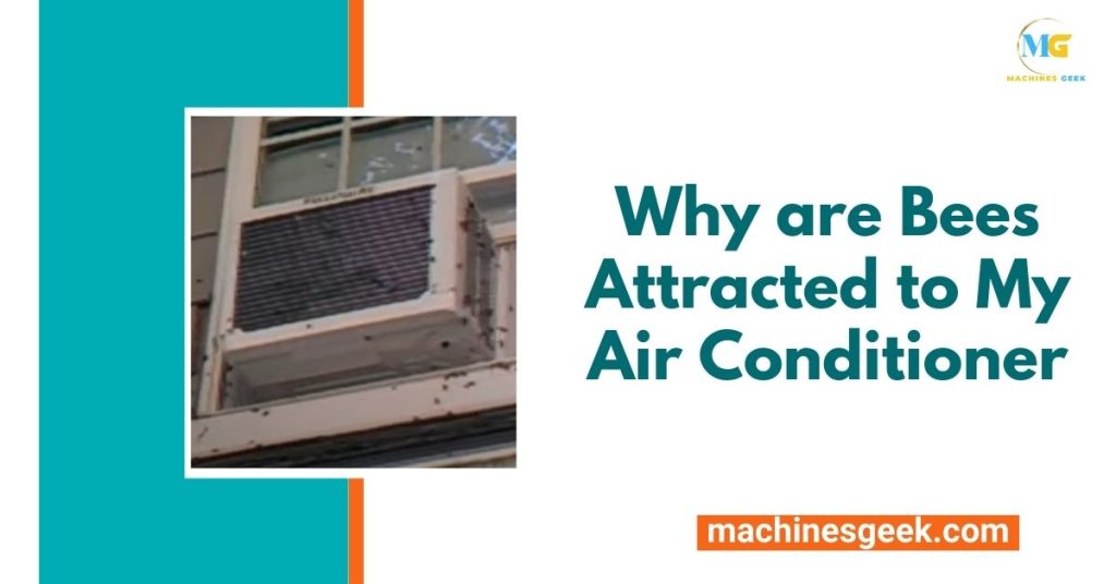 Why are Bees Attracted to My Air Conditioner